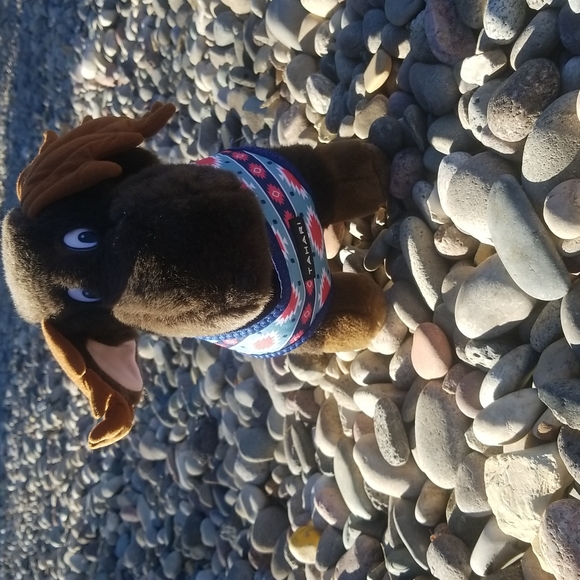 Tahari Dog Nwot Tahari Dog Harness Poshmark